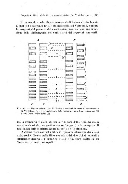 Archivio italiano di anatomia e di embriologia