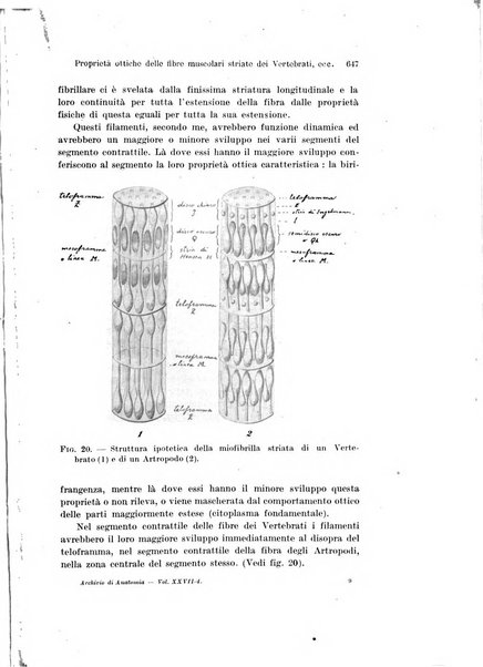 Archivio italiano di anatomia e di embriologia