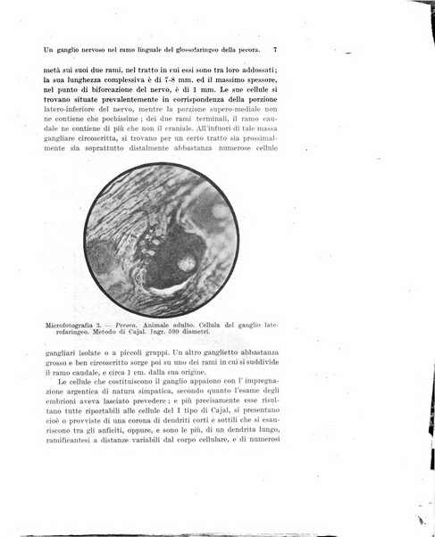 Archivio italiano di anatomia e di embriologia