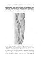 giornale/TO00176875/1931/v.29/00000021