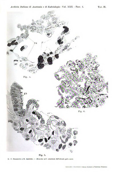 Archivio italiano di anatomia e di embriologia