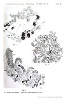 giornale/TO00176875/1932/v.30/00000049