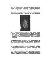 giornale/TO00176875/1933/v.31/00000310