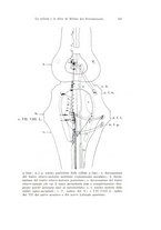 giornale/TO00176875/1933/v.31/00000607