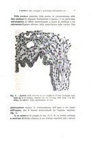 giornale/TO00176875/1934/v.32/00000021