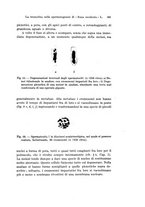 giornale/TO00176875/1935/v.34/00000607