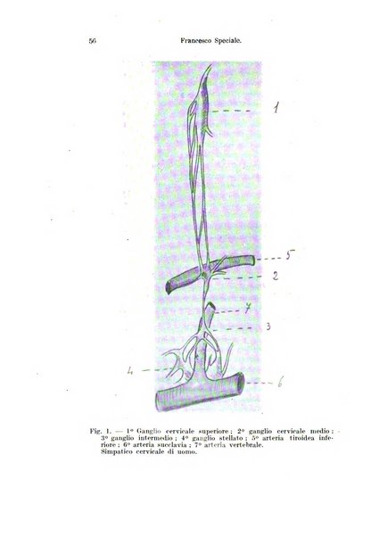 Archivio italiano di anatomia e di embriologia