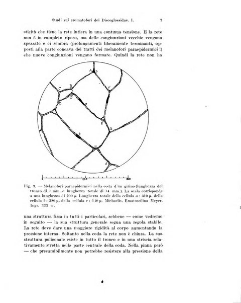 Archivio italiano di anatomia e di embriologia