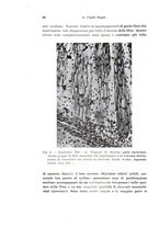 giornale/TO00176875/1938/v.41/00000050