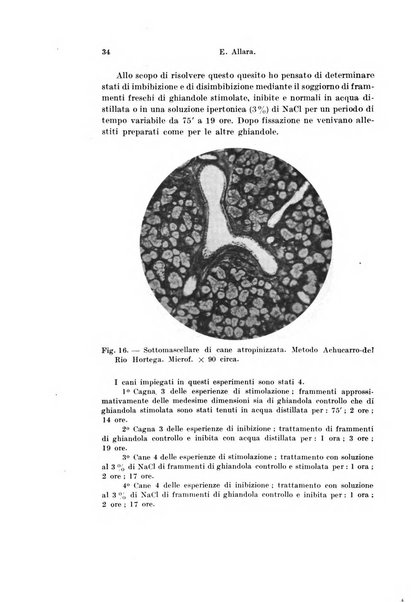 Archivio italiano di anatomia e di embriologia