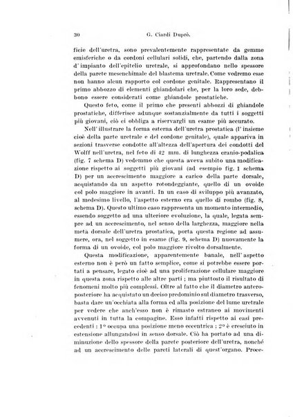 Archivio italiano di anatomia e di embriologia