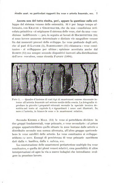 Archivio italiano di anatomia e di embriologia