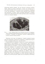 giornale/TO00176875/1943/v.48-49/00000041