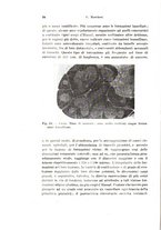 giornale/TO00176875/1943/v.48-49/00000048