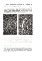 giornale/TO00176875/1943/v.48-49/00000049