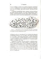 giornale/TO00176875/1943/v.48-49/00000082