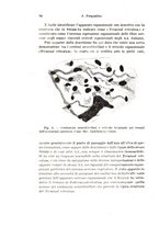 giornale/TO00176875/1943/v.48-49/00000084