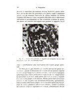 giornale/TO00176875/1943/v.48-49/00000086