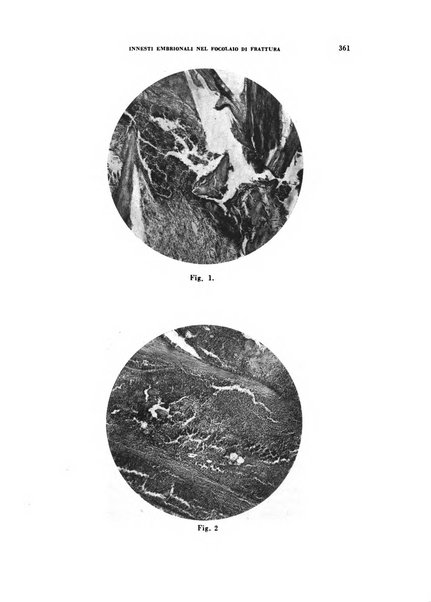 Archivio italiano di medicina sperimentale