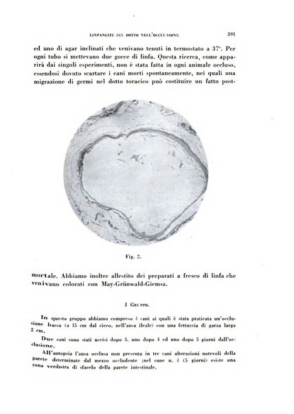 Archivio italiano di medicina sperimentale