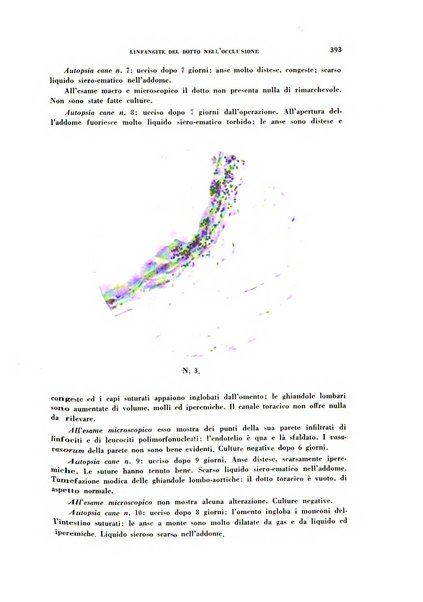 Archivio italiano di medicina sperimentale