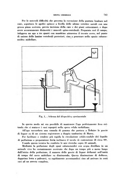 Archivio italiano di medicina sperimentale