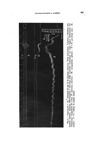 Archivio italiano di medicina sperimentale