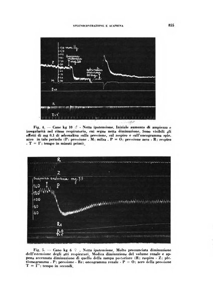 Archivio italiano di medicina sperimentale