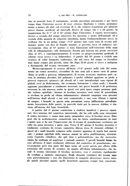 Archivio italiano di medicina sperimentale