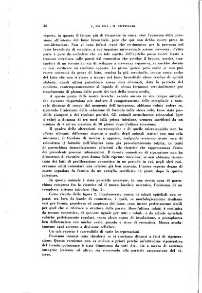 Archivio italiano di medicina sperimentale