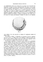 giornale/TO00176879/1940/v.1/00000073