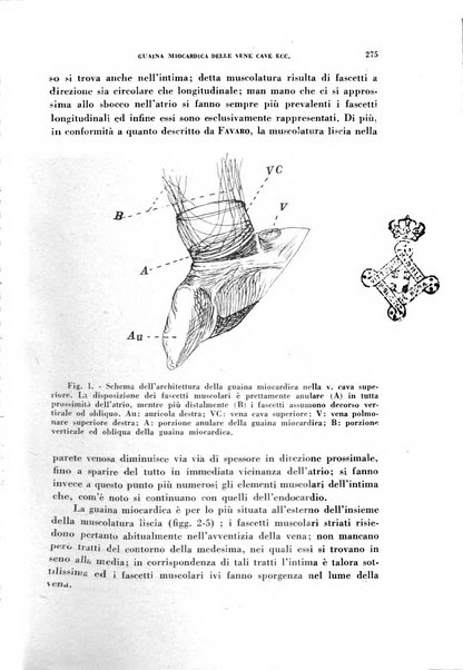 Archivio italiano di medicina sperimentale