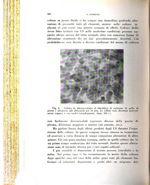 Archivio italiano di medicina sperimentale