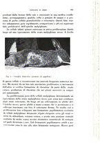 giornale/TO00176879/1940/v.1/00000617