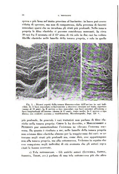 Archivio italiano di medicina sperimentale