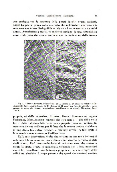 Archivio italiano di medicina sperimentale