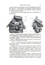 giornale/TO00176879/1940/v.2/00000041