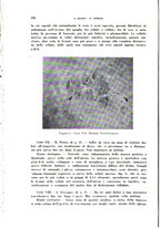 giornale/TO00176879/1940/v.2/00000310