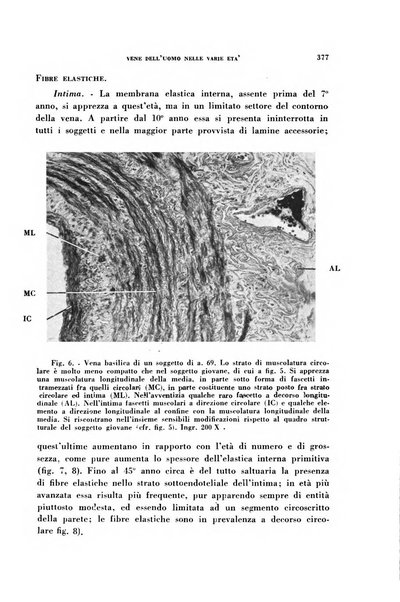 Archivio italiano di medicina sperimentale