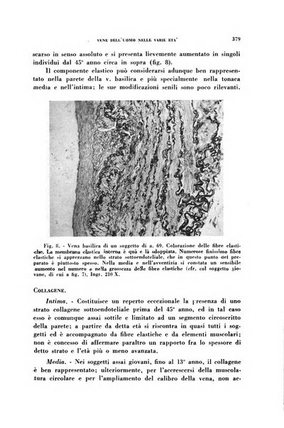 Archivio italiano di medicina sperimentale