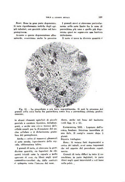 Archivio italiano di medicina sperimentale