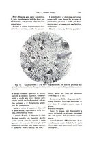 giornale/TO00176879/1940/v.2/00000607