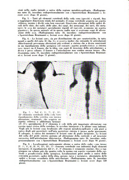 Archivio italiano di medicina sperimentale