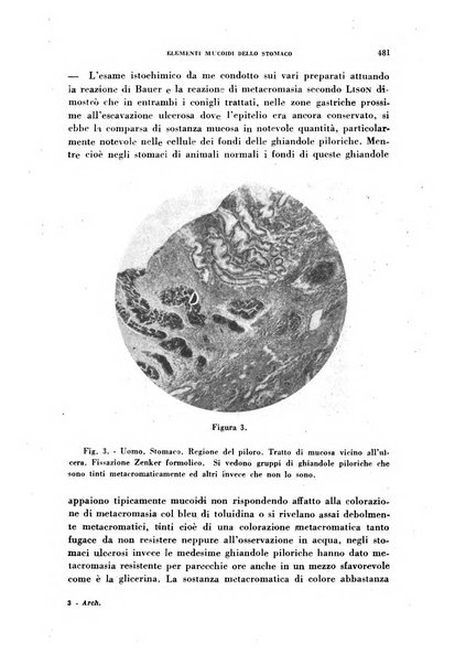 Archivio italiano di medicina sperimentale