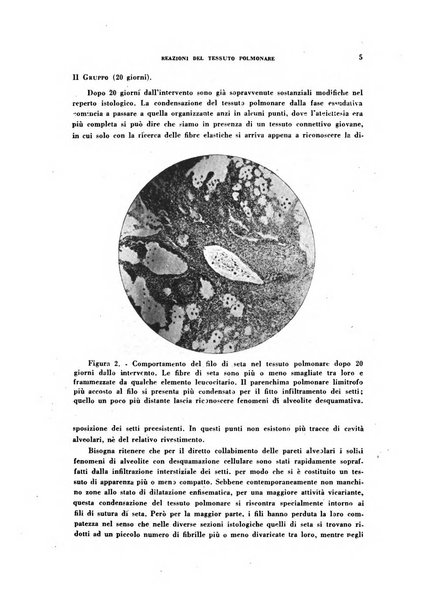 Archivio italiano di medicina sperimentale