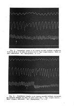 giornale/TO00176879/1941/v.2/00000231