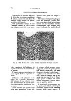 giornale/TO00176879/1941/v.2/00000378