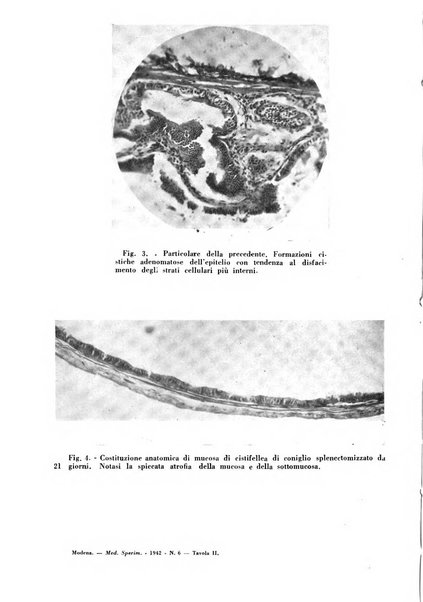 Archivio italiano di medicina sperimentale