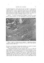 giornale/TO00176879/1942/v.2/00000019