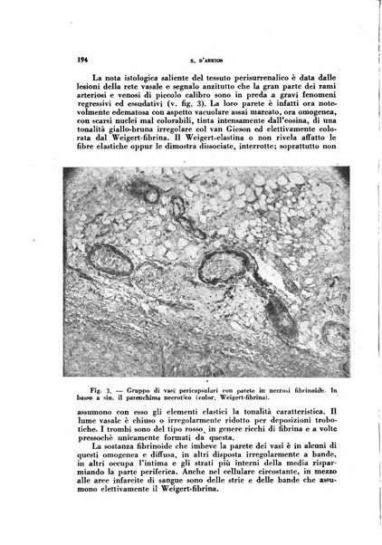 Archivio italiano di medicina sperimentale